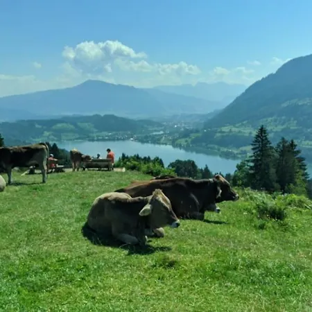 Ferienpark Oberallgau - Invest Freizeit 公寓 *