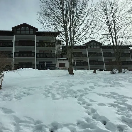 Ferienpark Oberallgau - Invest Freizeit 米森-维尔哈姆斯