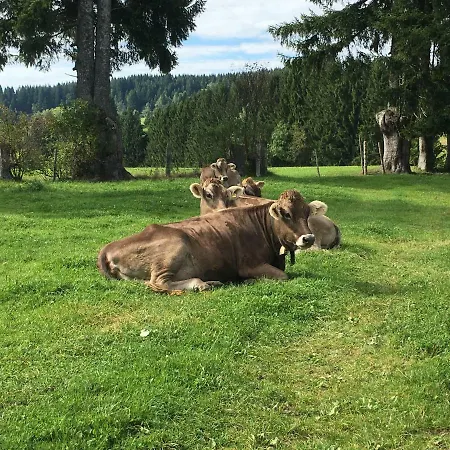 Ferienpark Oberallgau - Invest Freizeit